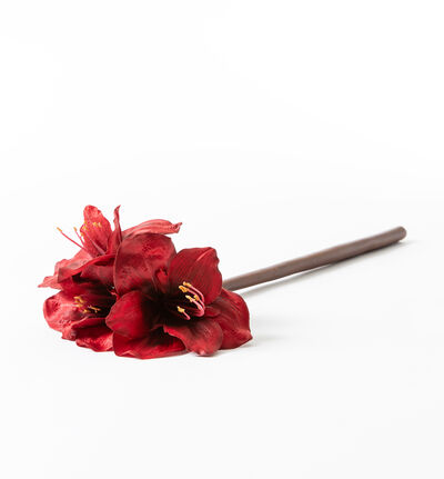 Kunstig Amaryllis mørk rød Kunstig Amaryllis mørk rød